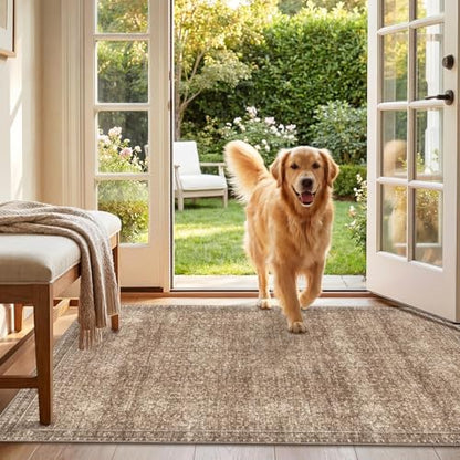 3x5 Area Rugs (Dark Brown / 3' x 5' (Rectangular))