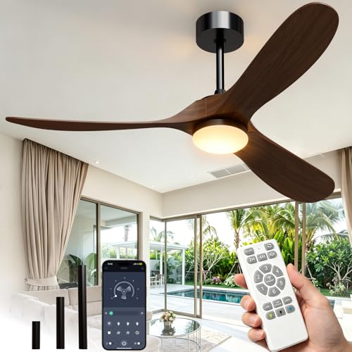 Ceiling Fans with Lights