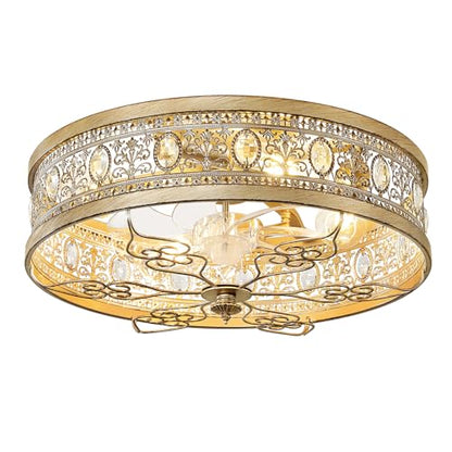 Caged Ceiling Fan with Light