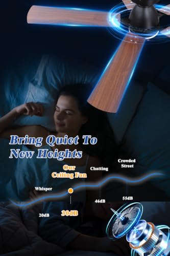 Ceiling Fan with Light