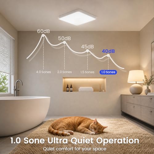 Bathroom Exhaust Fan with Light