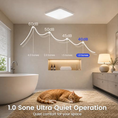 Bathroom Exhaust Fan with Light