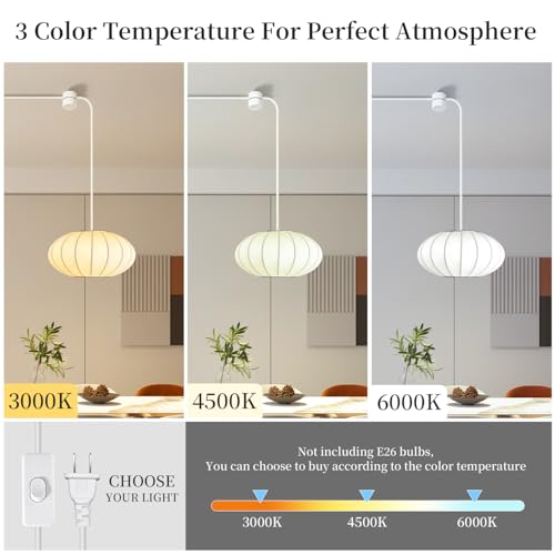Plug in Lantern Pendant Light