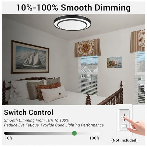 20 Inch LED Flush Mount Ceiling Light 2 Pack (Black / 20Inch-2pack)