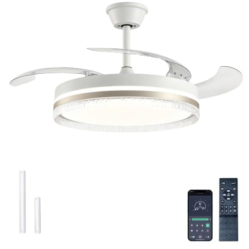 Ceiling Fans with Lights