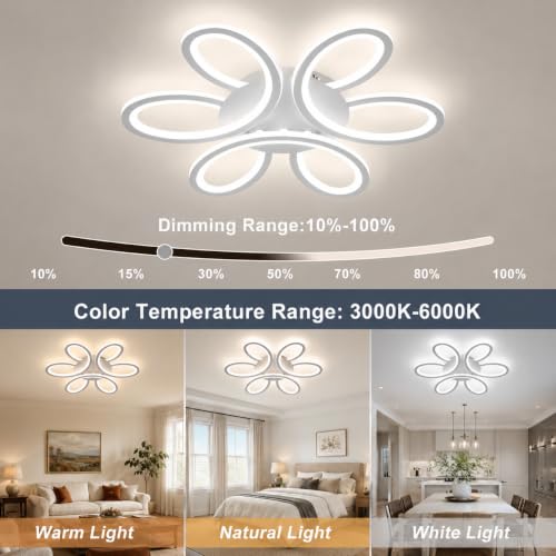 Modern LED Ceiling Light