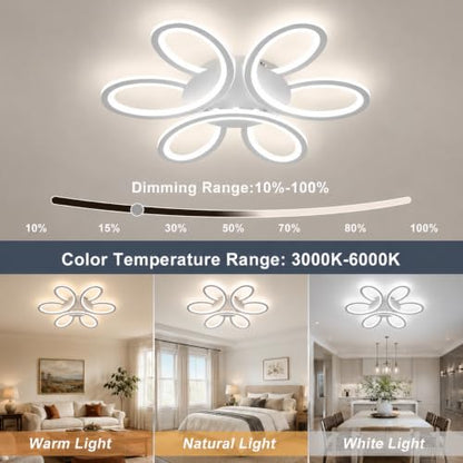 Modern LED Ceiling Light