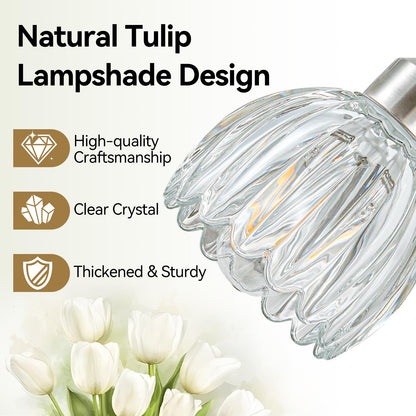 Brushed Nickel Vanity Lights for Bathroom with Clear Tulip Glass Shade (Brushed Nickel - Tulip Clear / 4-light)