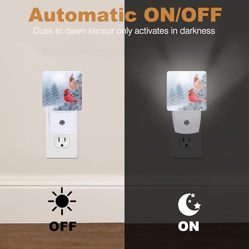 Night Lights Plug into Wall (Cardinal A)