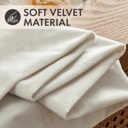 Ivory Velvet Curtains 4 Panels Set Back Tab 40 x 90 Inch Long (Ivory / 40"W x 90"L (Pack of 4))