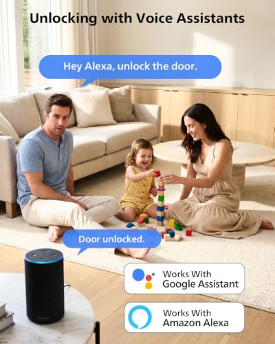 Wi Fi Smart Front Door Lock Set