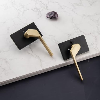 Black Door Handle Interior