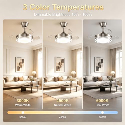 Ceiling Fans with Lights