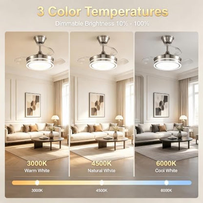 Ceiling Fans with Lights