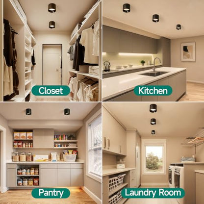 Flush Mount Ceiling Light Fixture