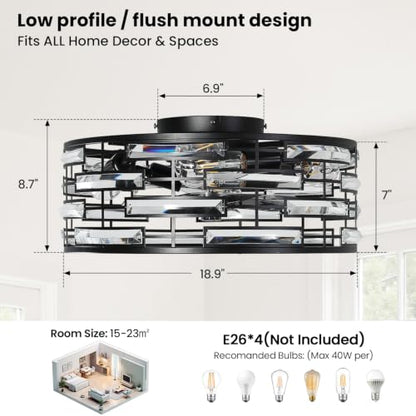 Caged Ceiling Fan with Light