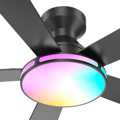 Ceiling Fans with Lights