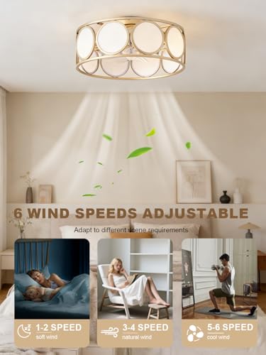 Ceiling Fans