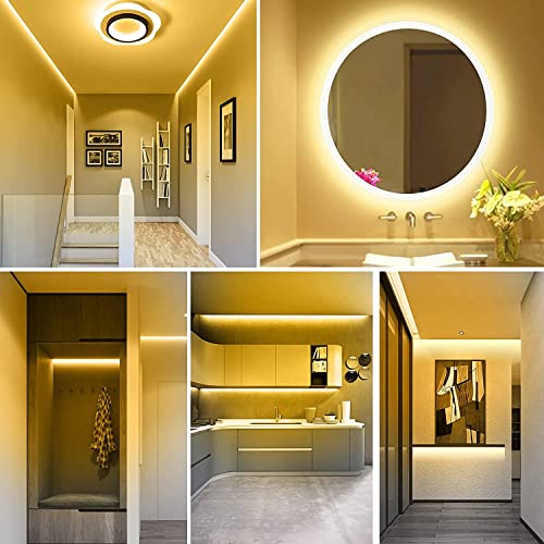 32.8ft LED Strip Lights DC24V