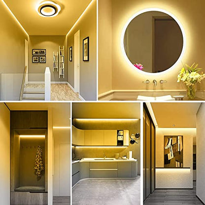 32.8ft LED Strip Lights DC24V