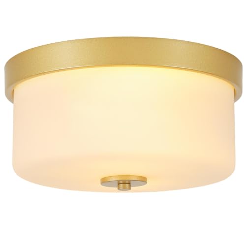 Mid Century Modern Flush Mount Ceiling Light