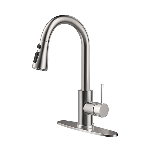 Kitchen Faucet with Pull Down Sprayer