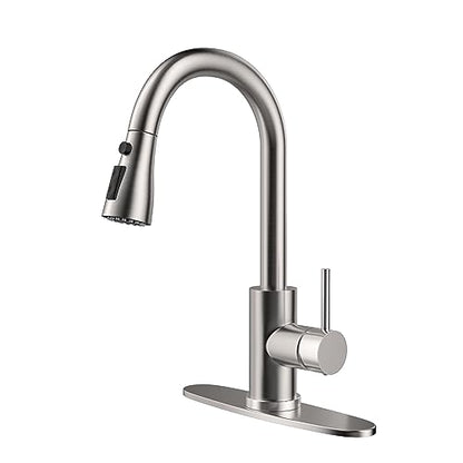Kitchen Faucet with Pull Down Sprayer