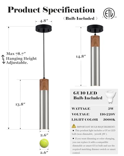 Modern Pendant Light