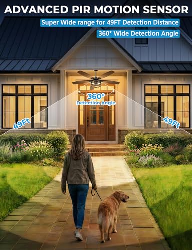 Outdoor Ceiling Fans with Light