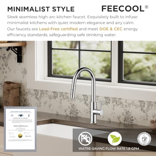 Kitchen Faucet with Pull Down Sprayer