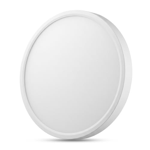 19.3 Inch LED Flush Mount Ceiling Light