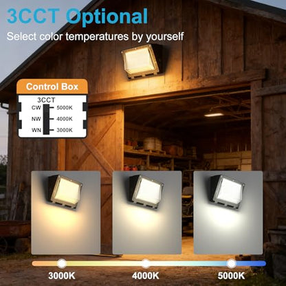 3CCT Wall Pack LED Exterior Light