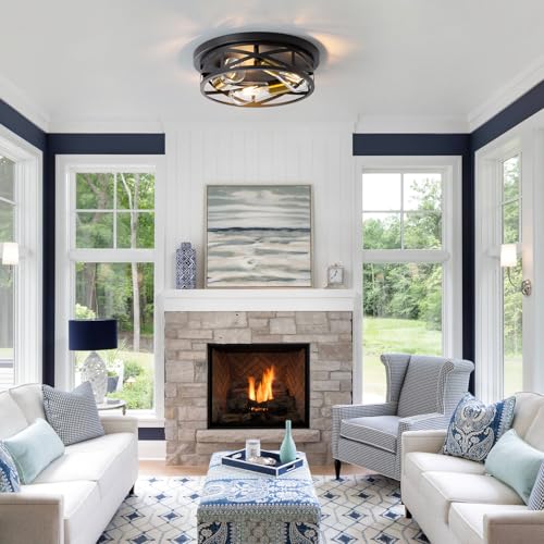 Black Ceiling Light Fixture with Gold Base