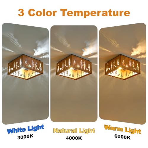 Farmhouse Flush Mount Ceiling Light Fixture
