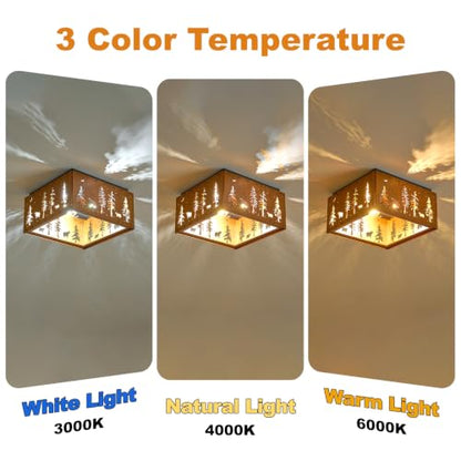 Farmhouse Flush Mount Ceiling Light Fixture