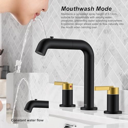 Widespread Bathroom Faucet with Sprayer