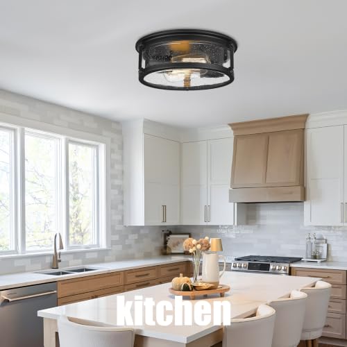 2 Light Flush Mount Ceiling Light Fixtures
