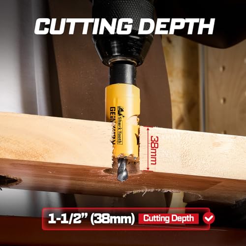 7/8 Inch(22mm) Hole Saw, 2PCS HSS Bi-Metal Hole Saw Kit with Shark Tooth Hole Cutter for Wood,Drywall, PVC Boards and Thin Metal (2 PCS 7/8")