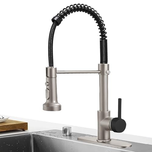 High Arc Spring Kitchen Faucet with Pull Down Sprayer