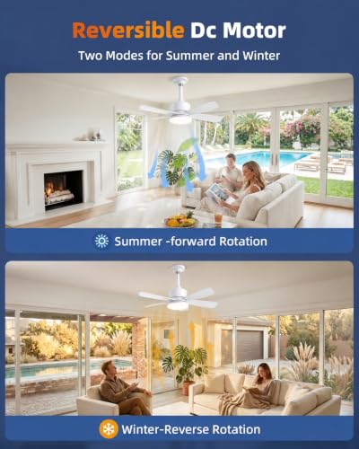 Socket Fan Light with Remote