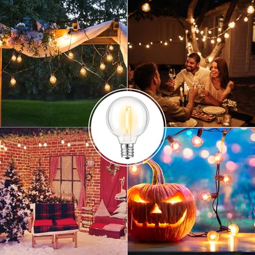 G40 Light Bulbs