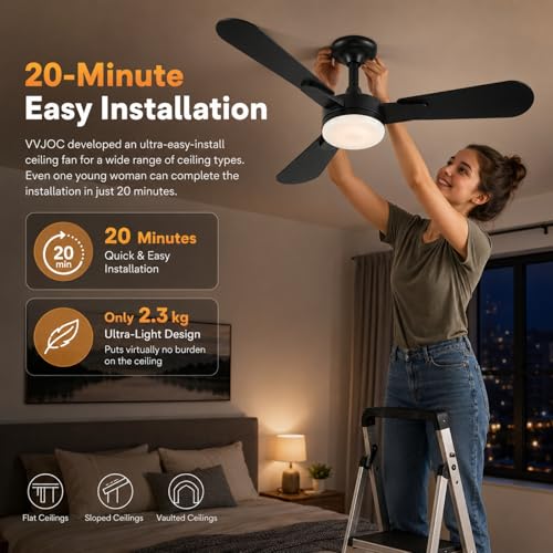 Ceiling Fans with Lights