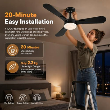 Ceiling Fans with Lights