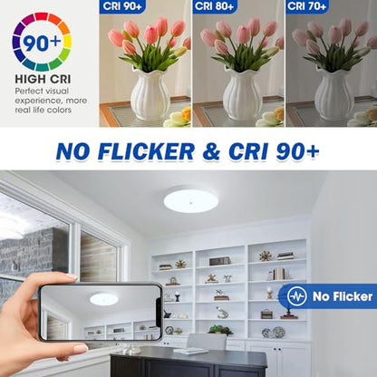 Led Flush Mount Ceiling Light