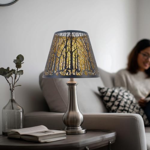 Metal Lampshade Fater