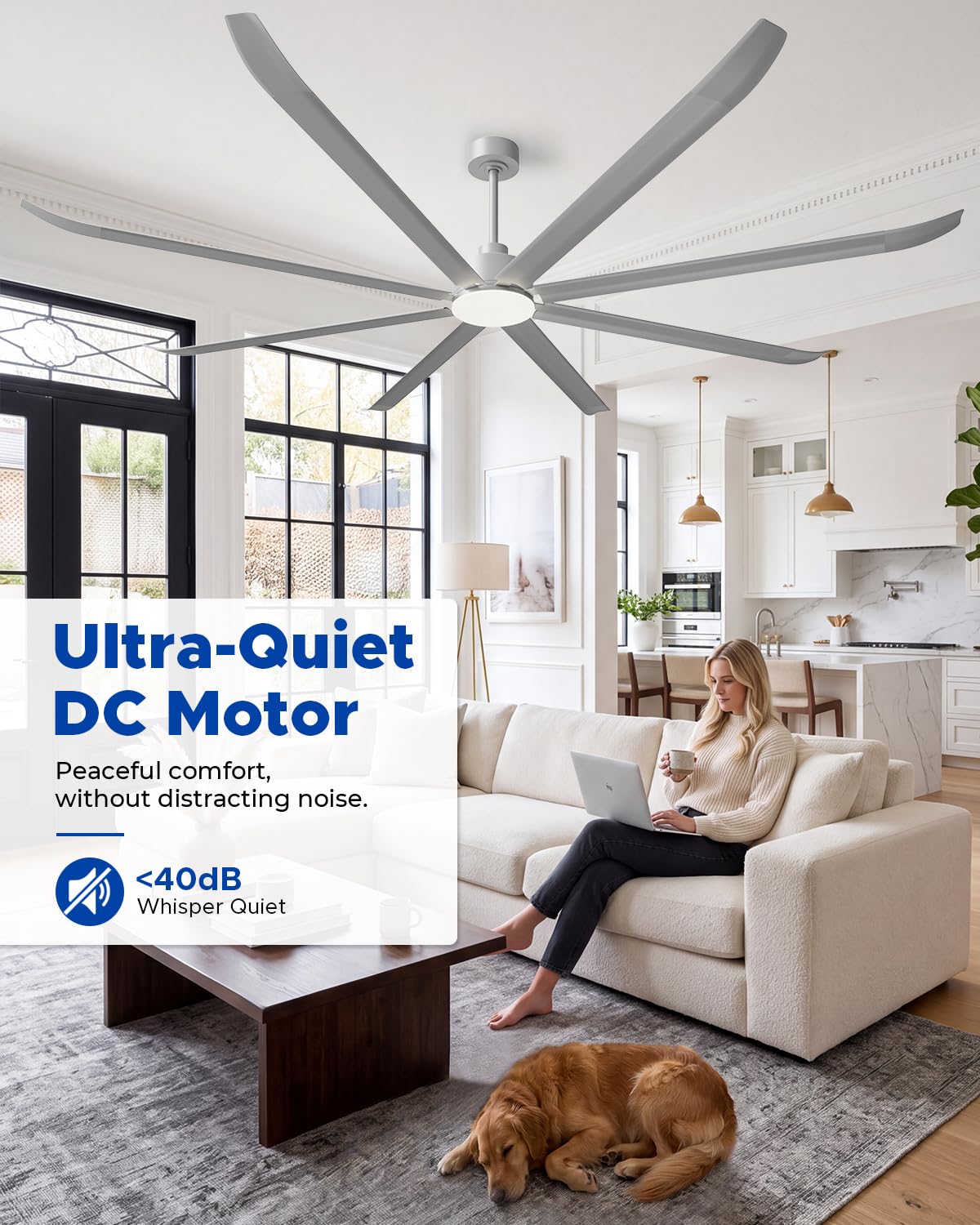 96 Inch Industrial Ceiling Fan With Light (Matte Silver)