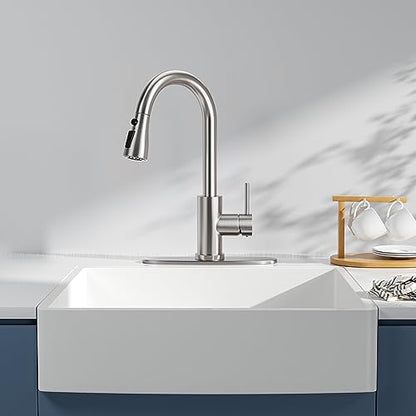 Kitchen Faucet with Pull Down Sprayer