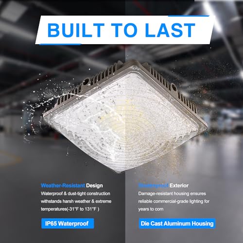 LED Canopy Light