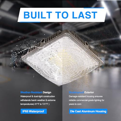 LED Canopy Light