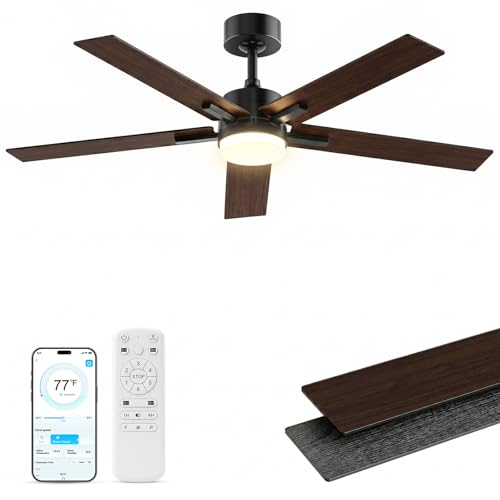 Black Ceiling Fan